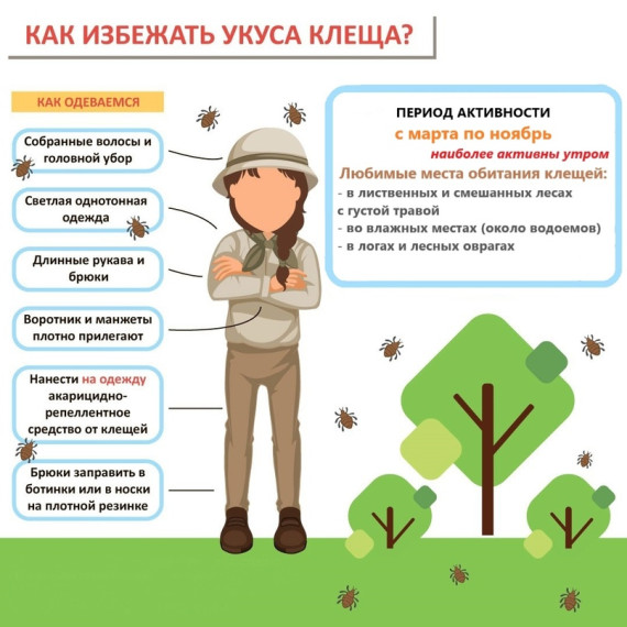 ❗В Курской области участились случаи укусов клещей🕷. ❗В Курской области участились случаи укусов клещей🕷.